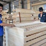 Việt Nam, EU hướng tới phê chuẩn hiệp định quan trọng về gỗ