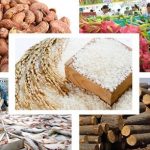 Việt Nam có 16 mặt hàng đạt giá trị xuất khẩu trên 1 tỷ USD