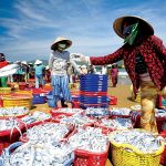 Kiểm soát thịt, thủy hải sản nhập khẩu phòng chống viêm phổi Vũ Hán