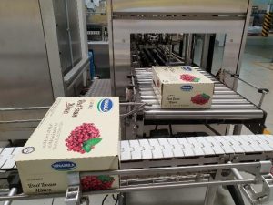 Doanh nghiệp sữa Việt đầu tiên được xuất khẩu vào Liên minh kinh tế Á Âu