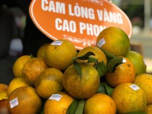 Trái cây vượt hàng rào kỹ thuật xuất ngoại