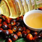 Indonesia cấm xuất khẩu dầu cọ thô (CPO) và dầu ăn: Giá dầu thực vật tại Việt Nam có bị ảnh hưởng?
