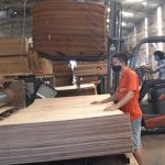 Doanh nghiệp cần theo sát vụ Hoa Kỳ điều tra chống lẩn tránh thuế chống bán phá giá gỗ dán cứng từ Việt Nam