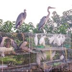 Chống buôn bán động vật hoang dã trái luật- đẩy mạnh truyền thông, phát triển mạng lưới phóng viên điều tra