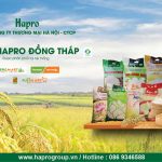 Gạo Hapro Đồng Tháp - Thương hiệu Việt được người tiêu dùng yêu thích